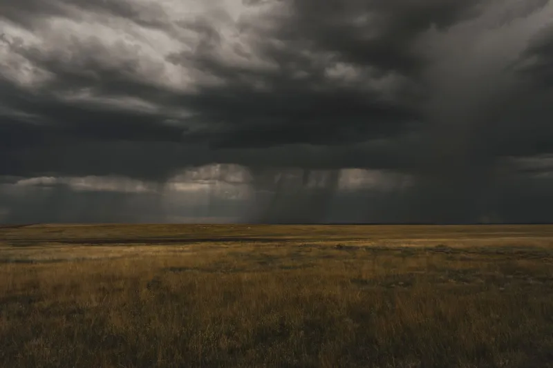 Holding Still: What the Sky Knows About the Art of Waiting