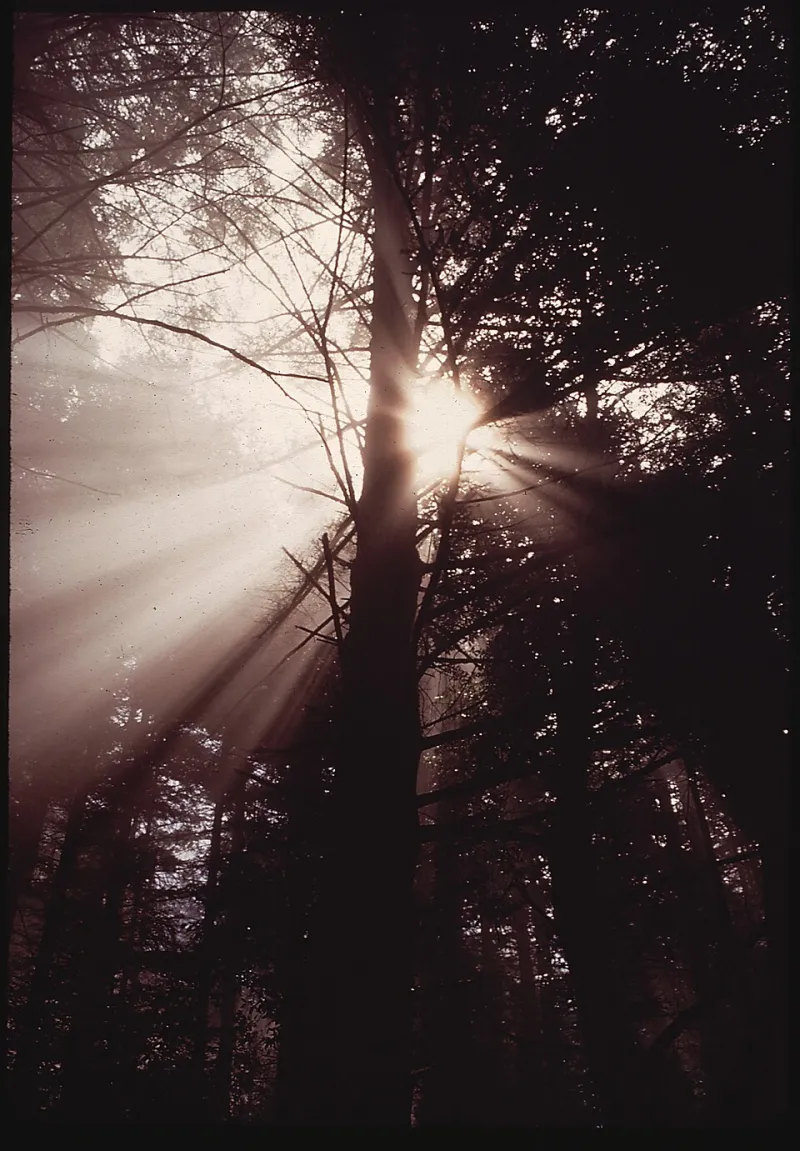 The Places That Never Let You Go: On Landscapes That Live Inside You