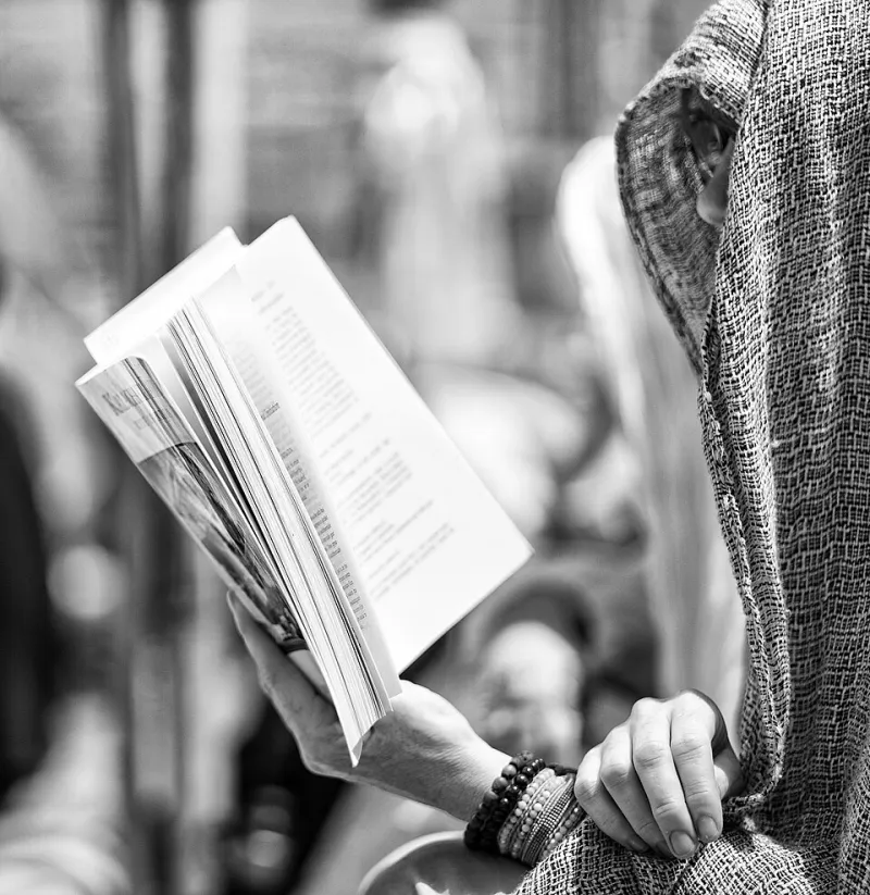 What the Trees Hear When You Read: On Solitude, Books, and the Wilderness Between Your Ears