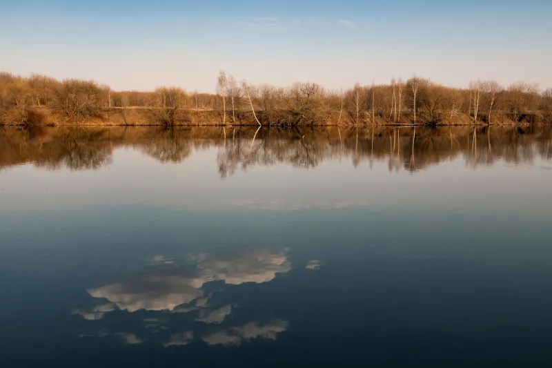 When Nothing Moves: The Uncomfortable Gift of a Windless Day
