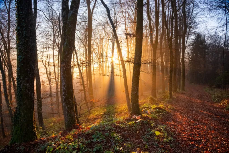 You Are a Season: Learning to Live in Rhythm with Yourself